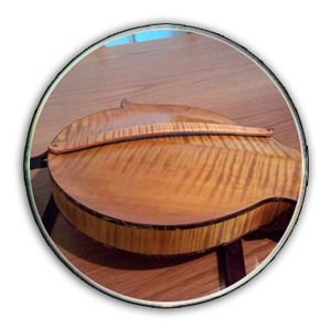 Accessories Accessories